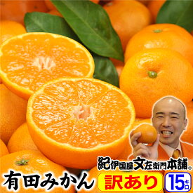 【即出荷】みかん！みかん！和歌山みかん！＜まとめ買い15キロ＞ 送料無料 わけあり 有田みかん15kg（5kg詰め×3箱)ギフト用に成れなかったご家庭用果実 紀伊国屋文左衛門本舗 みかんの名産地、有田地方からお届け 蜜柑 産地直送