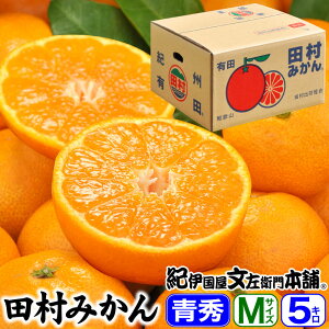 【予約販売】田村みかん/ギフト選別5キロ青秀【Mサイズ】紀州和歌山有田郡湯浅町田村地区産(秀品 M=約50果前後) 最高級プレミアムブランドの田村ミカン/お歳暮・お年賀に 【送料無