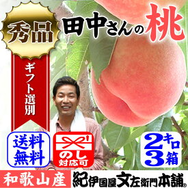 【予約販売】約2kg箱×3箱セット 田中さんちの大きなわかやまの桃（もも） 和歌山県産 田中さんちの桃（白鳳・嶺鳳・白桃・なつっこ）【送料無料】産地直送 1箱に6～8玉入り