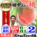 田中さんちの大きなわかやまの桃（もも）　約2kg箱　和歌山県紀の川市産・田中さんちの桃（白鳳・嶺鳳・白桃）【送料無料】 ランキングお取り寄せ