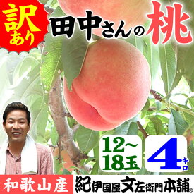 【予約販売】訳ありお買い得和歌山の桃(もも)／完熟ワケアリ品【約4kg】白鳳系品種＜完熟果実なので数個の傷みはご勘弁下さいませ。＞田中さんちの桃（白鳳・嶺鳳・白桃・なつっこ）