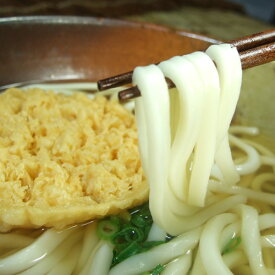 エビ天うどん　10パック　[花田製麺所]和歌山県有田市