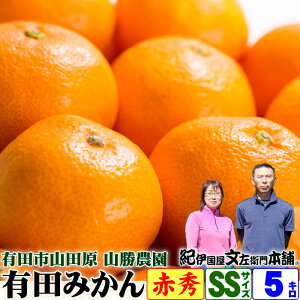 ʌy\̔zR_ v񂿂̗Lc݂ I2STCY 5kgyԏGz a̎RLcsRc Iɍq{ܔF̗Lc݂ B݂̐Yʓ{ Y