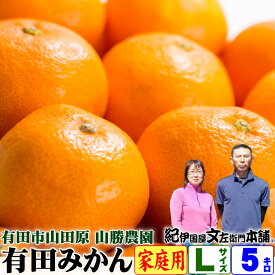 2024年分【完売御礼】数量限定【予約】山勝農園 久世さんちの有田みかん Lサイズ 約5kg ご家庭用 [40果前後] 送料無料 和歌山県有田市山田原 紀伊国屋文左衛門本舗認定の有田みかん 温州みかんの生産量日本一の名産地から産地直送品 温州みかん