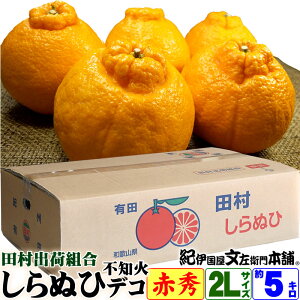 �y�\��̔��z�c���o�בg�� ����ʂ� (�f�R) �ԏG 20�� 2L�T�C�Y 5kg���y���������z�i�s�m�� ����ʂ� �ʏ̃f�R�|���j��5�L���� �t�݂��� �t���񂫂� �a�̎R���L�c�S���� �c���݂���̏o�בg