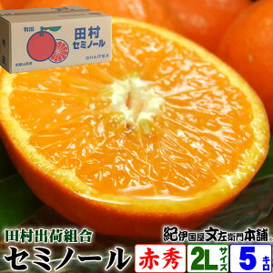 みかん 箱 5kgの人気商品・通販・価格比較 - 価格.com
