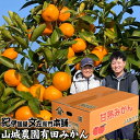 【順次出荷】山城農園　有田みかん【Mサイズ】約5kg[約50果]【特選ギフト=赤秀】送料無料 和歌山県有田郡有田川町産・紀伊国屋文左衛門本舗認定の有田みかん 温州みかんの生産量日本一の名産地から産地直送品・お歳暮・贈答・ギフトに(温州みかん)