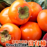 【予約：11月上旬より出荷予定】和歌山の柿（贈答用）フレッシュ 富有柿 約7.5kg 2Lサイズ 28個入 【赤秀…