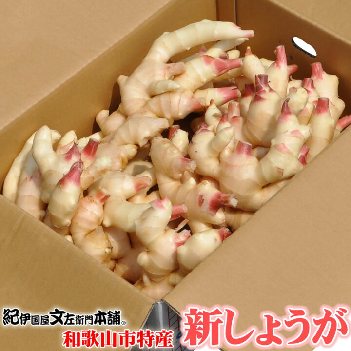 楽天市場】【予約販売】フレッシュ新しょうが8kg(4kg×2箱)・和歌山県 