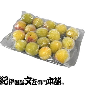 2025年産 [新物] 冷凍青梅(生梅)品種＝南高梅 500g【紀州和歌山産】梅酒、梅シロップ専用・クール冷凍便発送