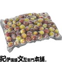 2025年産 [新物] 冷凍小梅(青梅・生梅)　品種＝パープルクイーン500g [令和7年][2025年産]【紀州和歌山産】梅酒、梅シロップ専用・クール冷凍便発送