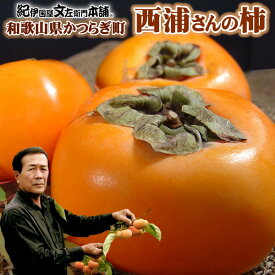 【予約：12月上旬より出荷予定】送料無料・和歌山の柿（贈答用・個装）西浦さんちの富有柿約3.5〜4kg[12個〜16個入］和歌山県産 産直 産地直送