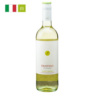 t@eB[j t@l[[ smO[W IGT MqAO[vt[ĉ悤Ȋkt[@[IC^ACwine Mtg NX}X 750ML