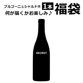 【訳あり】【福袋】 ブルゴーニュ シャルドネ 1本　ワイン フランス 白ワイン 750ML