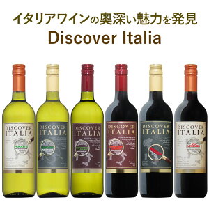 C^A̖͂ĔIfBXJo[C^A ݔ6{Zbg   yi C^A C Mtg NX}X 750ML