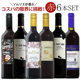 ソムリエ厳選赤ワイン6本飲み比べ 送料無料 赤 ワインセット wine ギフト 父の日 プレゼント ワイン 赤ワイン 750ML おすすめ