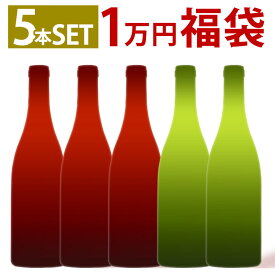 ACブルゴーニュ1万円福袋！5本セット ワインセット 送料無料 フランス ブルゴーニュ 赤ワイン 白ワイン ミディアムボディ 辛口 ギフト 父の日 750ML おすすめ