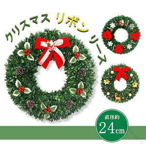 NX}X[X 24cm ~ jp {t k ȃhA rO֗p NX}XObY v[gɂœK X܃CxgpǊ|Mtg