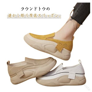 lԍHw݌v Xb| fUC ₷JWAV[Y EhgD pvX RȂ fB[X ʋCQ ėpbVXj[J[ i[XV[YΉ r