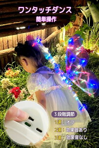 H d   H ΂  LED  d d̉H   H΂ LL  q ߑ ̎q d Gt RXv   ̉H  w p[eB[ a ϐg 