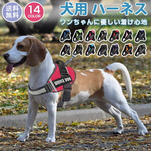  n[lX O  Pi  CjVΉ ȒP h~ Ȃ ^ ^ ^p 킢Up o AEghA qh~ ʋCiC }WbN