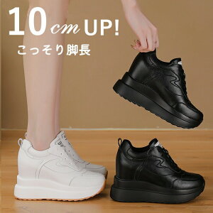 Xj[J[ 10cm 10Z` C fB[X gAbv V[NbgV[Y V[NbgC V[NbgXj[J[ C\[ C q[ ʋC  r ʋ ɂ 