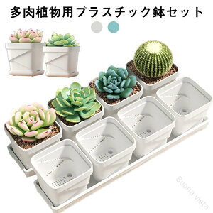  v^[ Aؔ vX`bN t[|bg  T{e 󂯎Mt XNGA`   K[fjO ϗtAp |bg CeAu ɍœK  