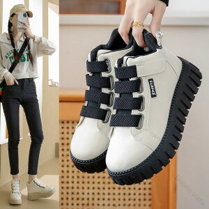 fB[X V[Y OΉ Xj[J[ nCJbgXb| RtH[gV[Y  C ₷fUC pt@bVV[Y