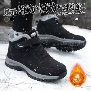 Xm[V[Y Y fB[X h C N {A XL[u[c hC n V[gu[c EB^[u[c  ~ yʂőϋvQ̓~phV[Y