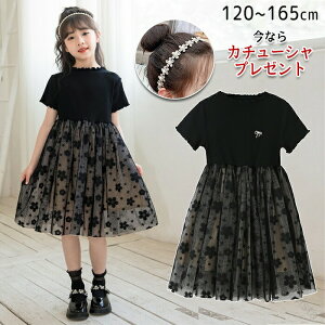 LbY s[X `jbN q  tH[} `[hX pb`[NXJ[g ԕ qǂs[X  ts[X p[eB[hX t  w  