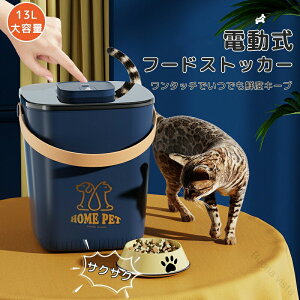 t[hXgbJ[13Le ^LjX^[ ybgt[hۑe Laa[ hCt[hpΉ ~J΍_h~ۑhUSB[dReiNxێ