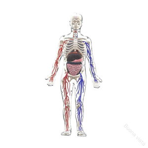 �l�̍��i�͌^�L�b�g 3D��U�}�t�� �w������ 8�Έȏ�Ώ� ���ȋ��� ��U�w�w�K�p �������f�� ����p ���\�������ɍœK �w�K���ʃA�b�v