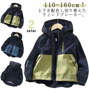 }Eep[J[ LbY j̎q zF WPbg h  WbvAbvp[J[ t[ht AE^[  EChu[J[ bV ʋC t H n Lv Cws oR 