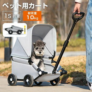 ybgJ[g ~肵₷ ^ ^ b܂肽 aɕ֗ яoh~ [^Cv oM[ ybgoM[ L  J[g gݗĊȒP @\ ʋC 䐫 ~肵