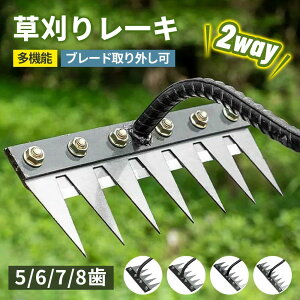 y 背[L K[f[L̎GF 5/6/7/8 5/6/7/8{ F  Yf|[L pr  G G G΍ 蓹 K[fjO 