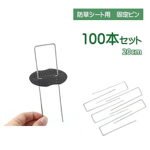  핢މ Œs 100{Zbg ŝ hV[gp R^ U^s Gh~ V[g Ő  lH DIY 20cm K[fjO _Ǝ | ƒ؉ Ԓd G΍ B 