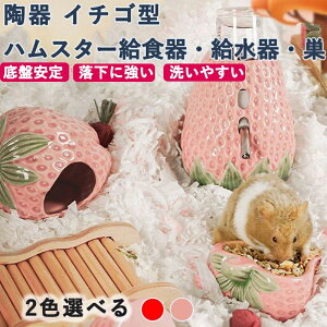 nX^[ nEX B nX^[  炵C`S^ 퐻 ƂĂgp\ |֗ Kł킢 􂦂  ėpɍœK ЂƂG [ł