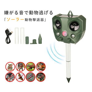 ΍ g RE 쏜  \[[ 悯 ZT[ ˂悯 Ƃ悯 ObY L L ɓ ӂ