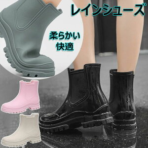 CV[Y  C fB[X Cu[c V[g u[c JC Jp CXj[J[ ~J΍ t@bV ~ ʋ ʊw | C J  [XAbv  