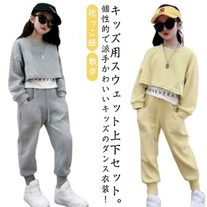 qW[W LbY q ̎q W[W 2_Zbg t  g[i[ XEFbgpc ㉺Zbg j̎q ZbgAbv gbvX C[h Y{ H _Xߑ HIPPOP X