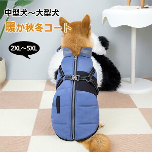   wJ  ӂ  ̕ {A _E WPbg AE^[ H~ j̎q ^ ̎q ₷  킢  X^C g H ~ wJ SȂ