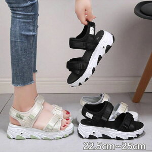 Xj[J[T_  RtH[gT_ T_ X|[c fB[X 5cm\[ 킢 y TCY AEghA ɂȂ ₷ ubN ʋCyz