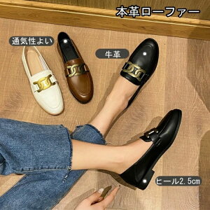 3F{v[q[[t@[ fB[X pvX V[Y 2.5cmq[@[q[ [t@[ {v V[Y fB[X [t@[ ₷ V[Y zCg [t@[ fB[