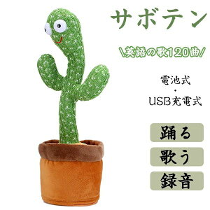  ̂ x T{e USB dr ߋ  ʂ  Ԃ xr[ LbY q ̎q j̎q ʂ ^ p̉̕t ׂ O[ y m dr  