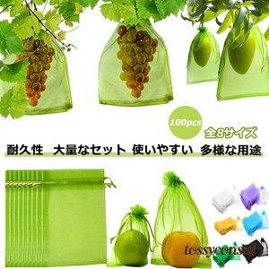 Ԃǂ 񂲑 ʕlbg 100 ʎ یlbg h lbg 悯lbg 悯lbg т  Ԃǂ В 悯lbg ʎphlbg ʕیobO ʎ C`S 