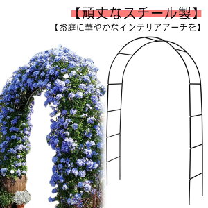 oA[` t[A[` K[fA[` o ΂ A[` o [YA[` KN diy ΂ U A[` gݗ ȒP |x ԑ ƒ؉ K[fjOp k | ԗ Ԓd