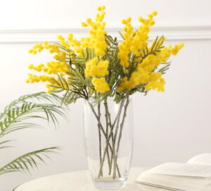 ~U tFCNt[ tFCNO[  ԑ CeA o t[ o[Xf[ j ̓ zCgf[ ̓ j Vw V  LO a p l