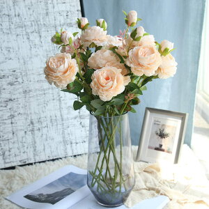 tFCNt[ tFCNO[ o KN  ԑ CeA o t[ o[Xf[ j ̓ zCgf[ ̓ j Vw V  LO a p 