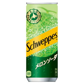 シュウェップス メロンソーダ 250ml缶×30本 コカ・コーラ社