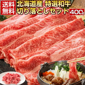 父の日 ギフト 和牛 切り落とし 訳あり 【北海道産.和牛切り落としセット400g.】焼き肉 すき焼き セット 詰め合わせ プレゼント 贈り物 送料無料 肉 お取り寄せグルメ わけあり 父の日 父の日 お中元 敬老の日 お歳暮 御歳暮 誕生日 【FM】